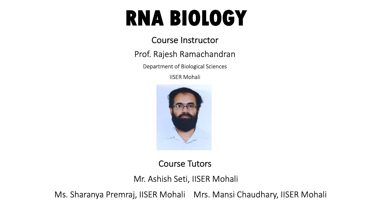 snRNA, rRNA, miRNA, siRNA Processing, Export and Function: Introns and Link to Splicing