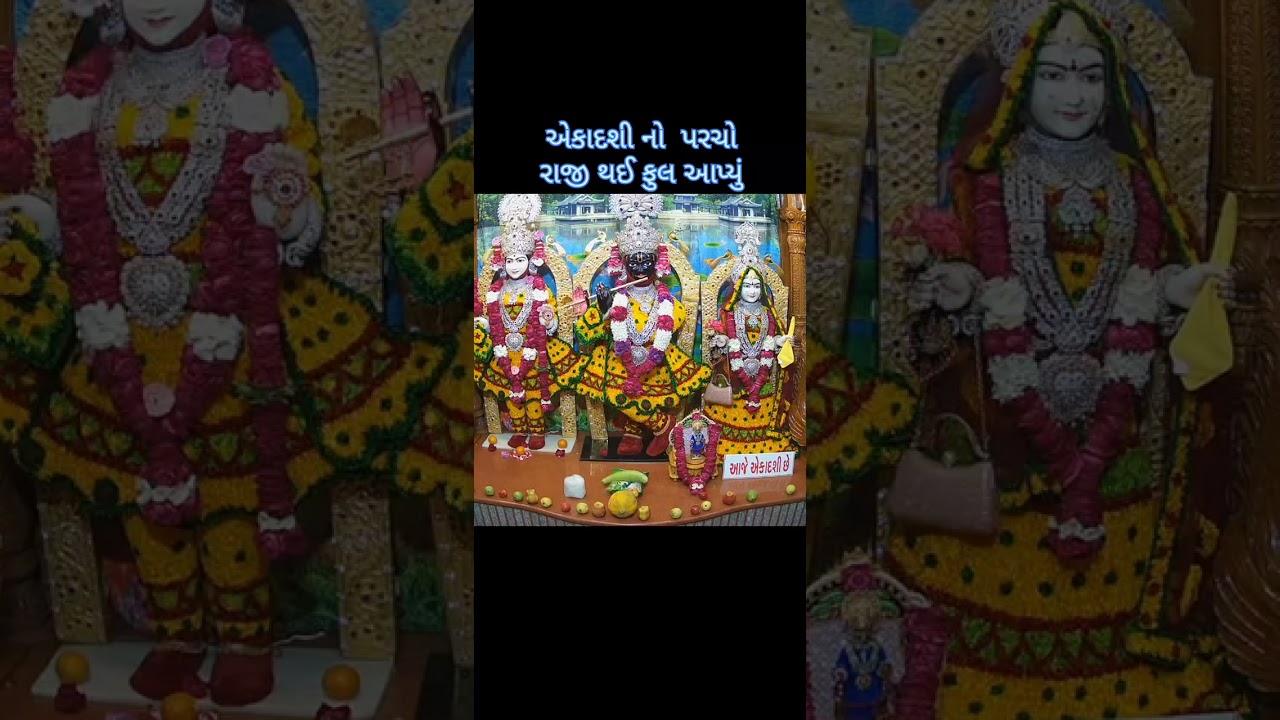 એકાદશીએ પરચો પૂર્યો#મહારાજે પુષ્પ આપ્યું#khopala#live#subscribe #swaminarayan#shortvideo#livedarshan