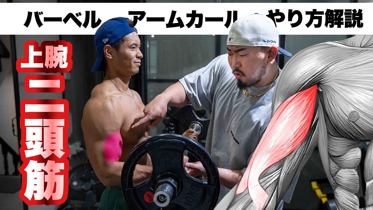 【筋トレ】太い力こぶをつくるバーベルアームカールのやり方解説！【上腕二頭筋】