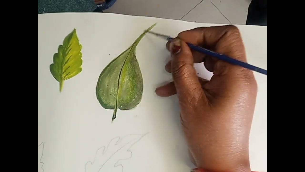 How to draw different types of leaves