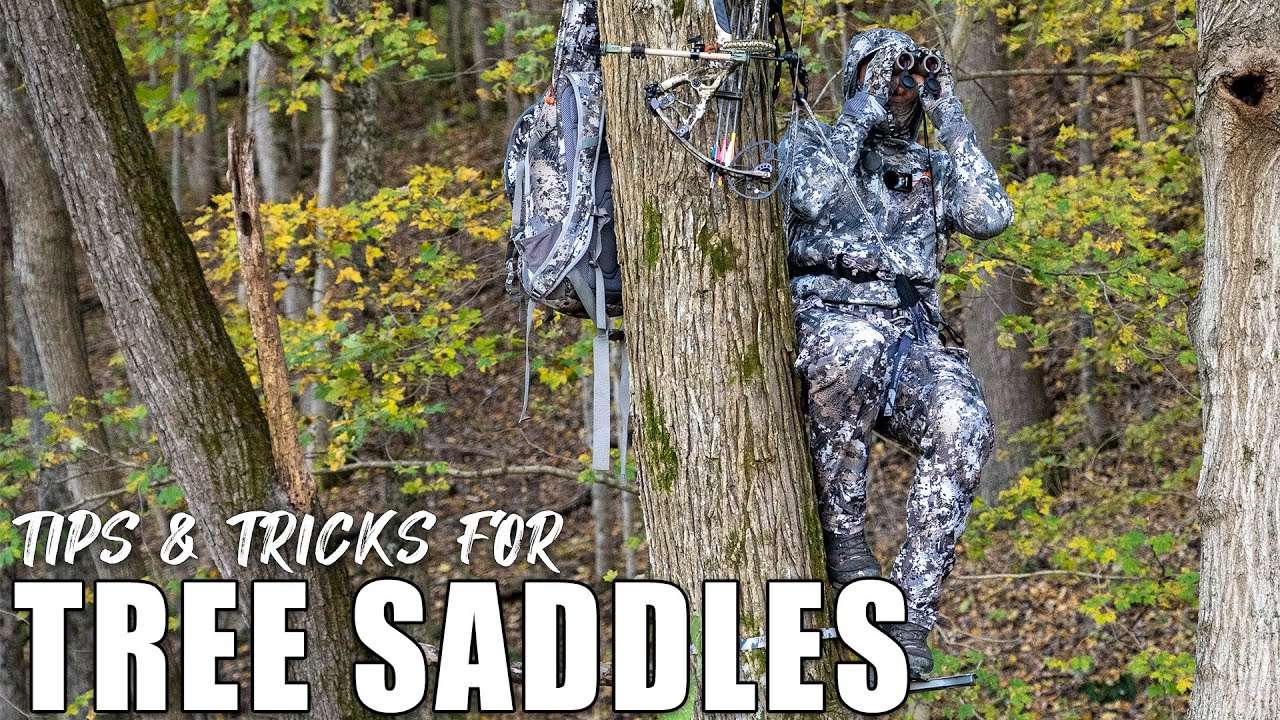 Tree Saddle Hunting Walk Through