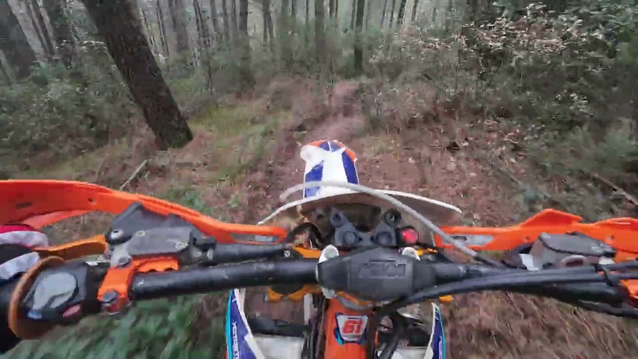 Vadi part 1