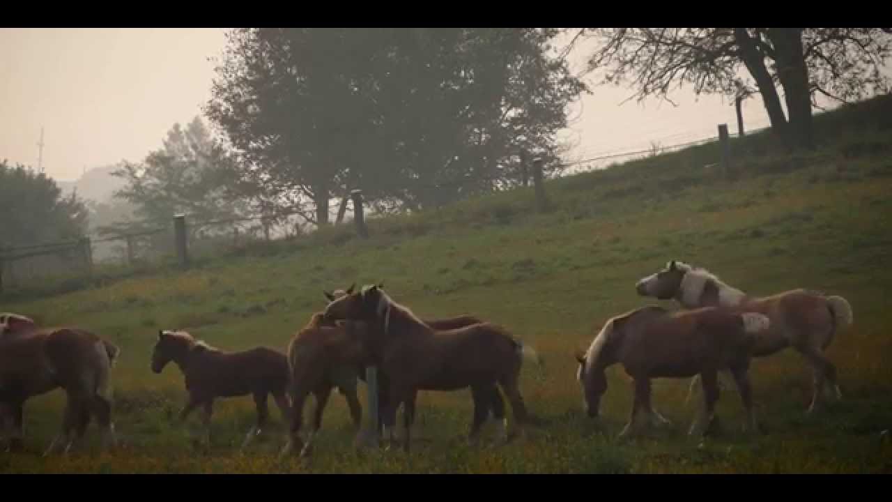 4k Video Test - Lumix G7 - Pennsylvania