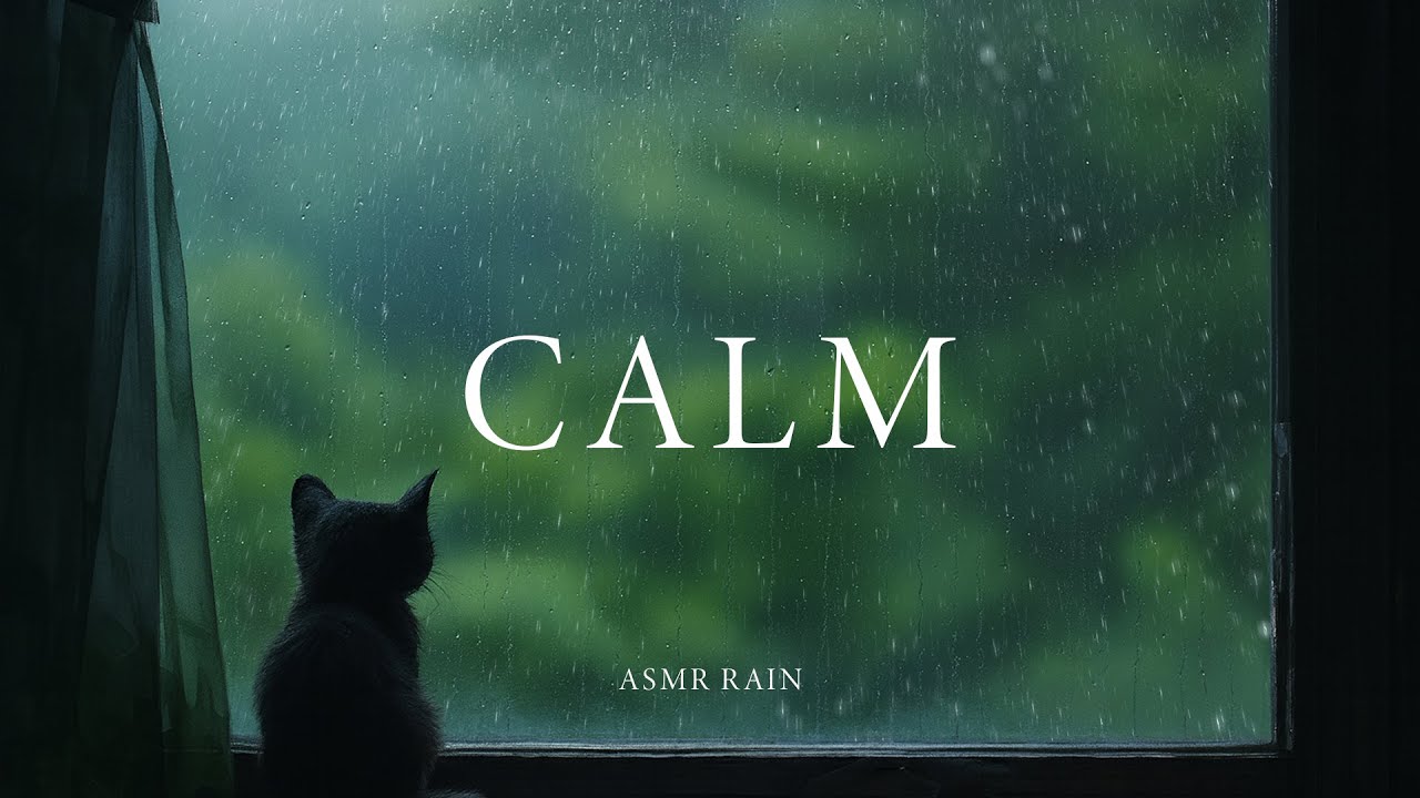 ASMR Rain Sounds in a Peaceful Rainy Room | Relaxing Rain Sounds for Sleeping