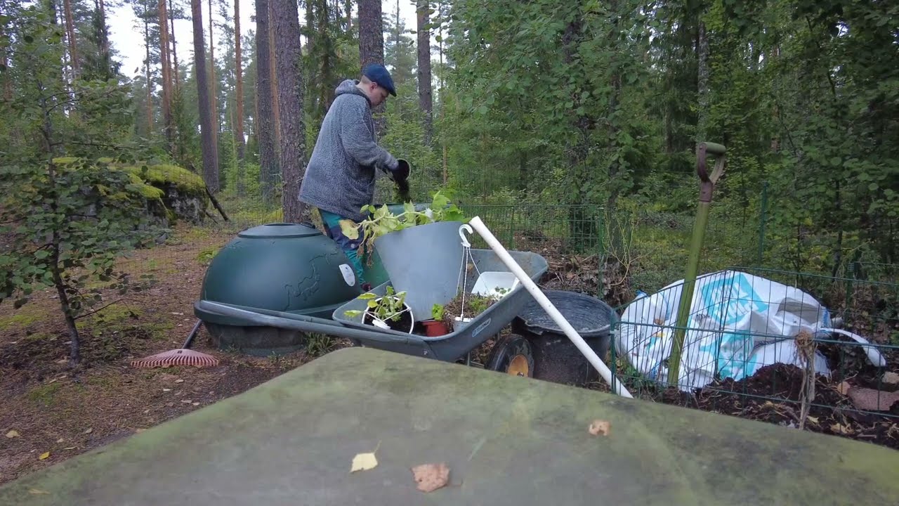 Syksyä tontilla, pientä katsausta ja kamaa kompostiin.
