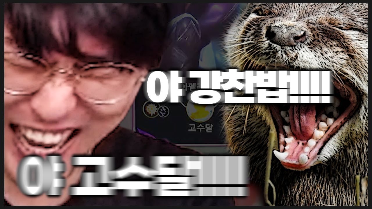 솔랭에서 친구 만났을때 반응ㅋㅋ