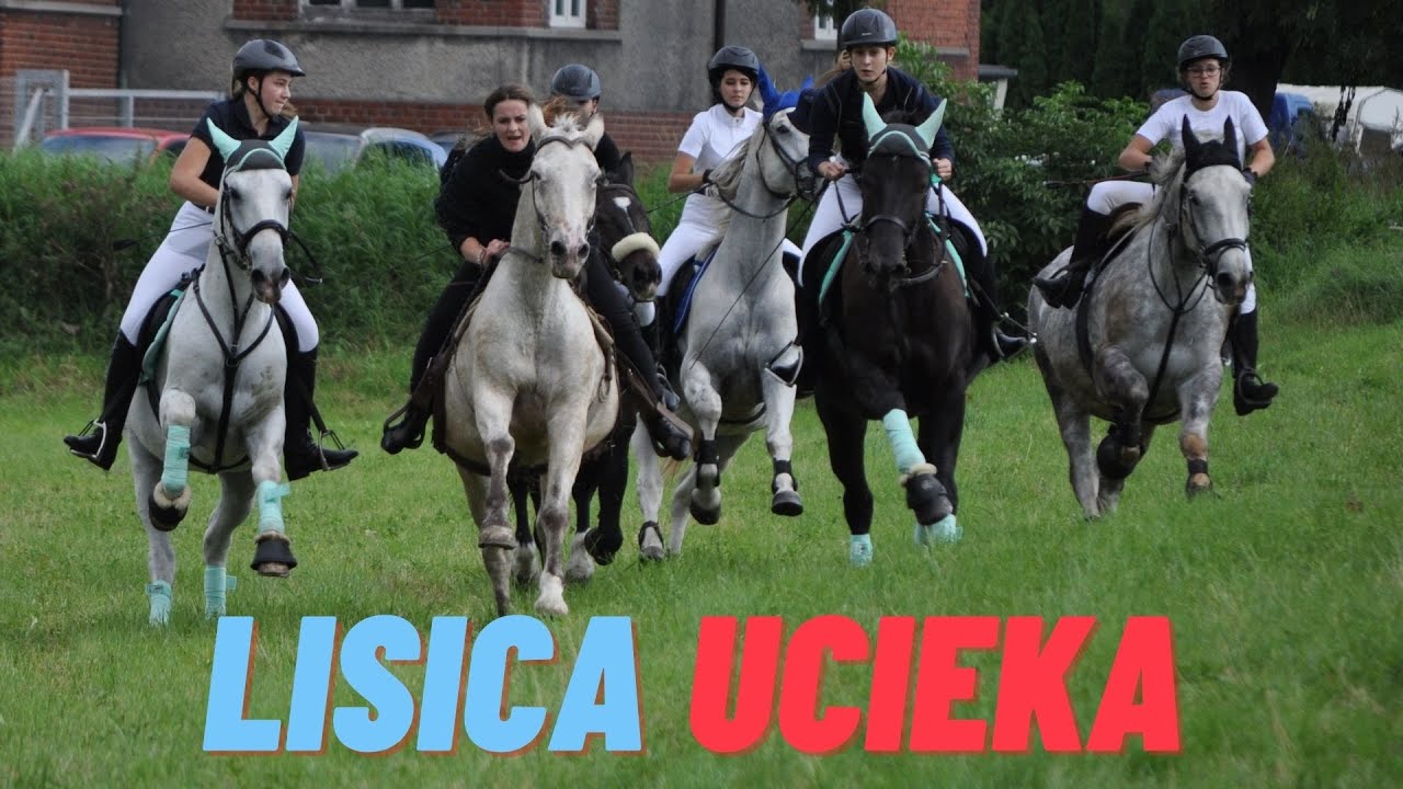 LEJDIS HUBERTUS. Pierwsza w powiecie gonitwa za lisicą - Hubertus dla amazonek