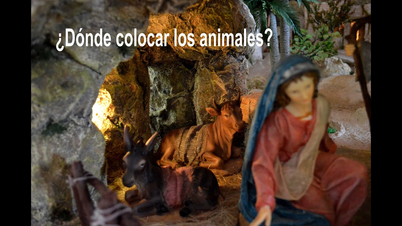 ¿DONDE COLOCAR LOS ANIMALES?
