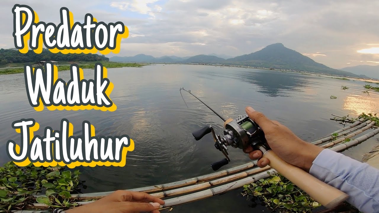BUKAN REVIEW | Tes Reel Shimano Calcutta Conquest BFS 2023 di Waduk Jatiluhur