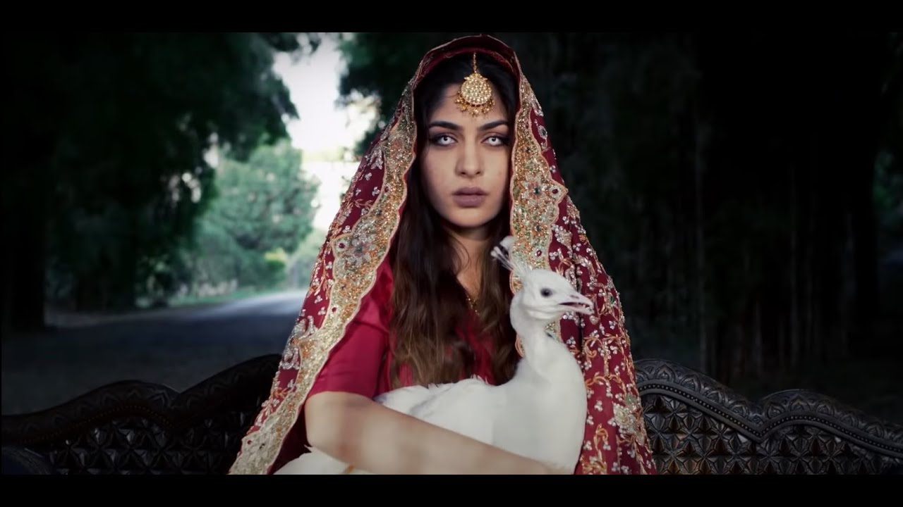 SNKM - Nighat & Paras ft. Adil Omar, Talal Qureshi