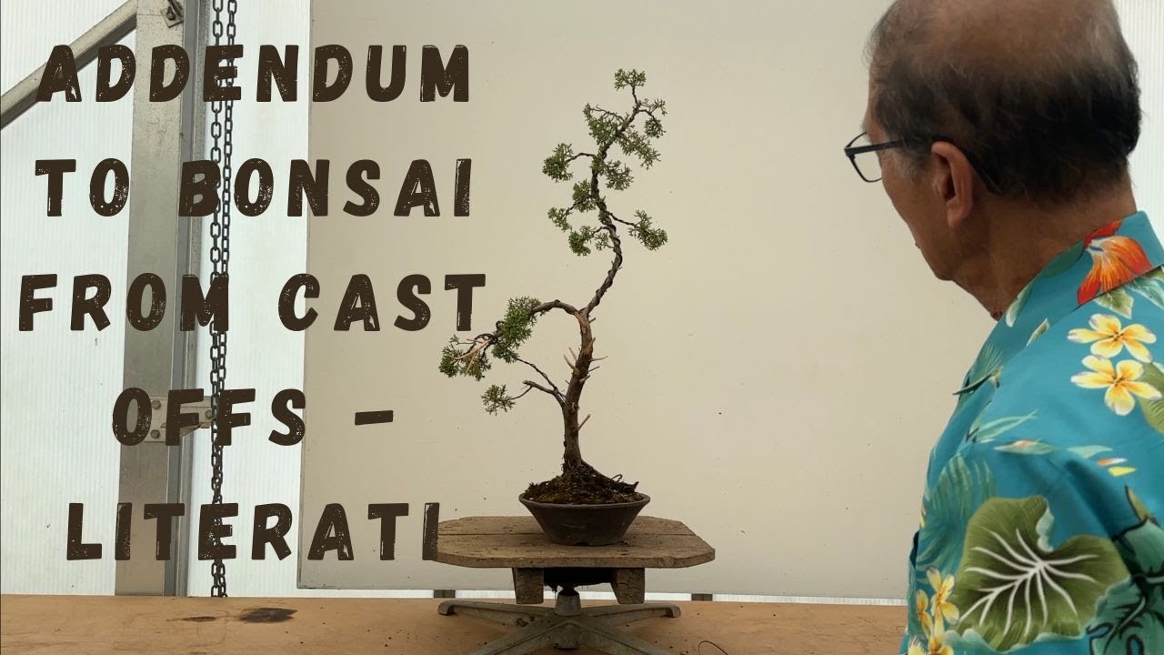 Addendum to Bonsai From Cast Off   Literati
