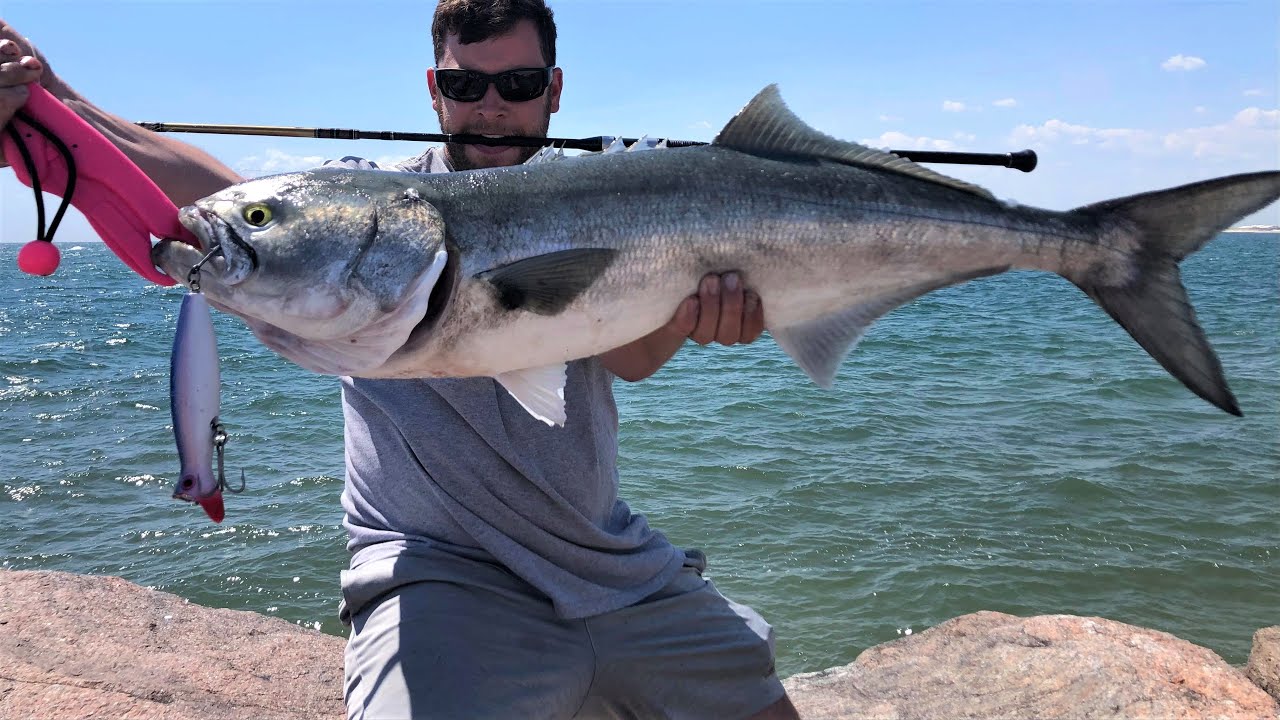 Monster Bluefish UNBELIEVABLE!!! Surf Fishing Long Island 5/18/21