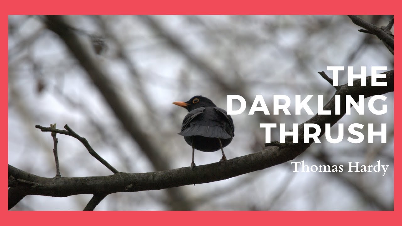 The Darkling Thrush by Thomas Hardy - Rendition (Summary in Description )