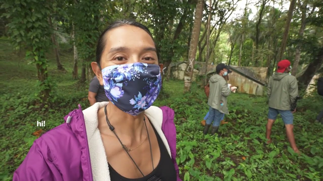My 1st Bamboo farm | Angie Mead King (2022)