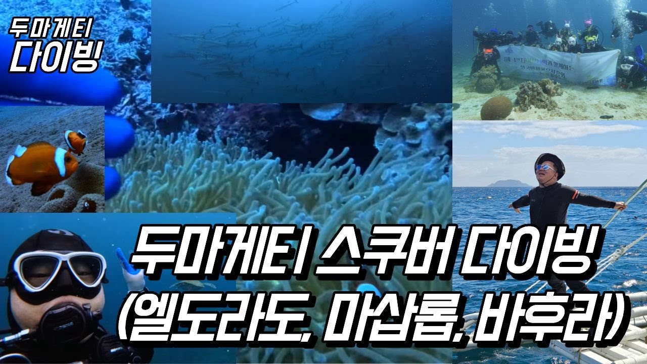 260128 두마게티 다우인 스쿠버 다이빙 로그46-48 (엘도라도, 마삽로드 북, 바후라) Dumaguete Dauin Diving (Luca, Masaplod, Bahura)