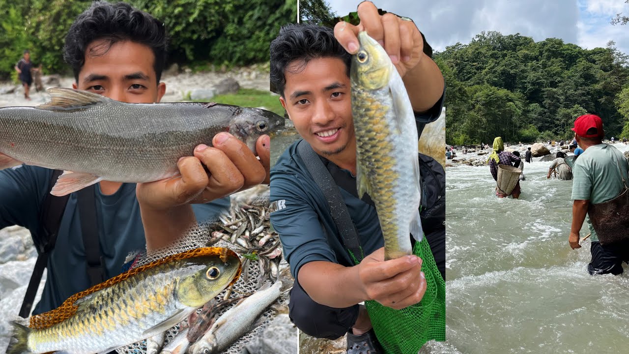 Traditional Tamu Fishing at Yammeng River || A Unique Community Tradition.