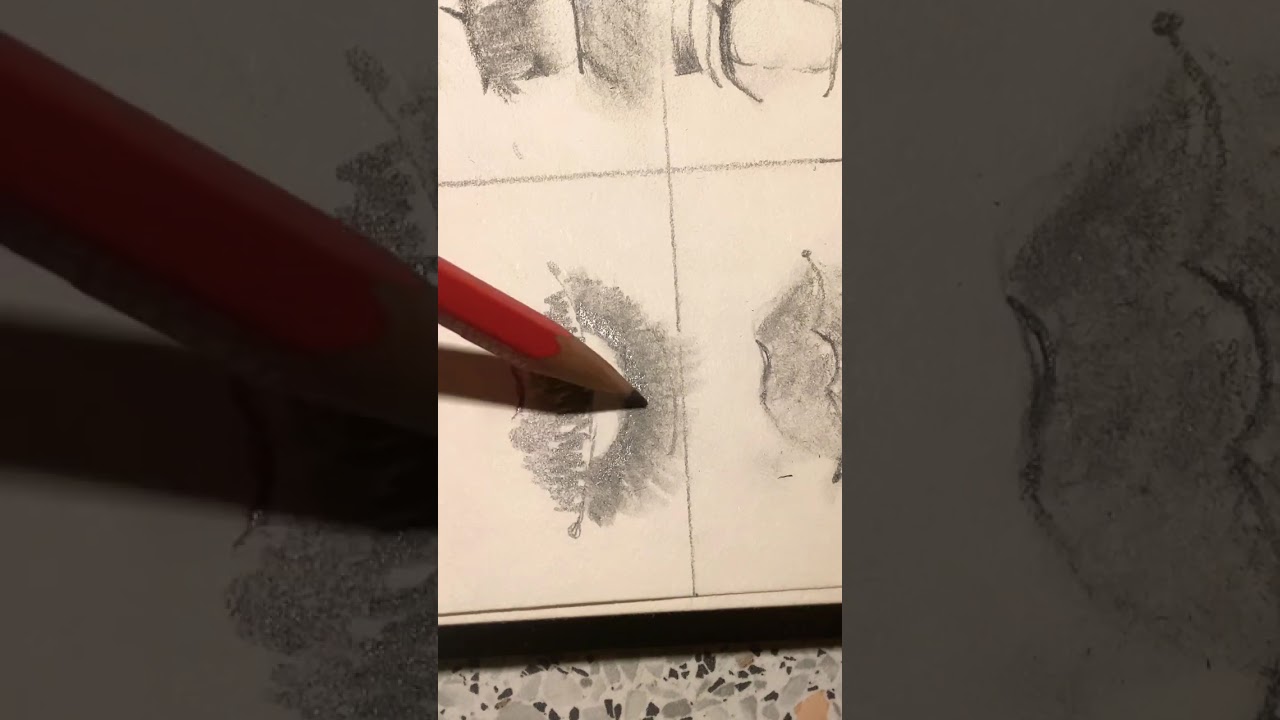 Dessine