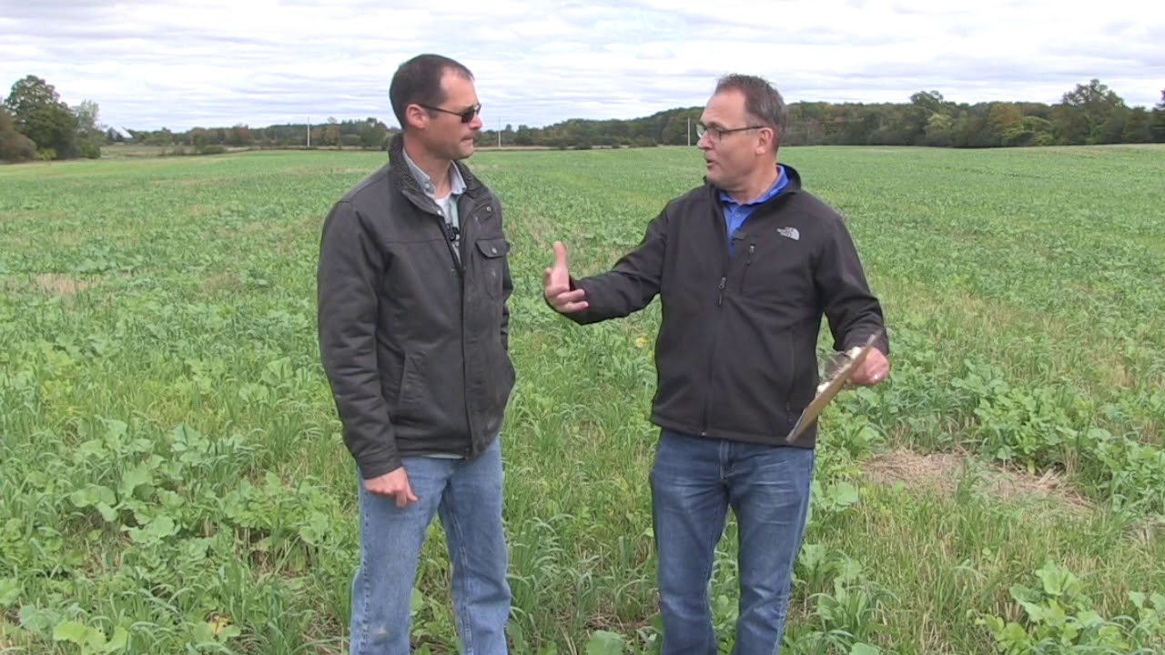 Soil School: Cover crops improve soil health and manage wildlife