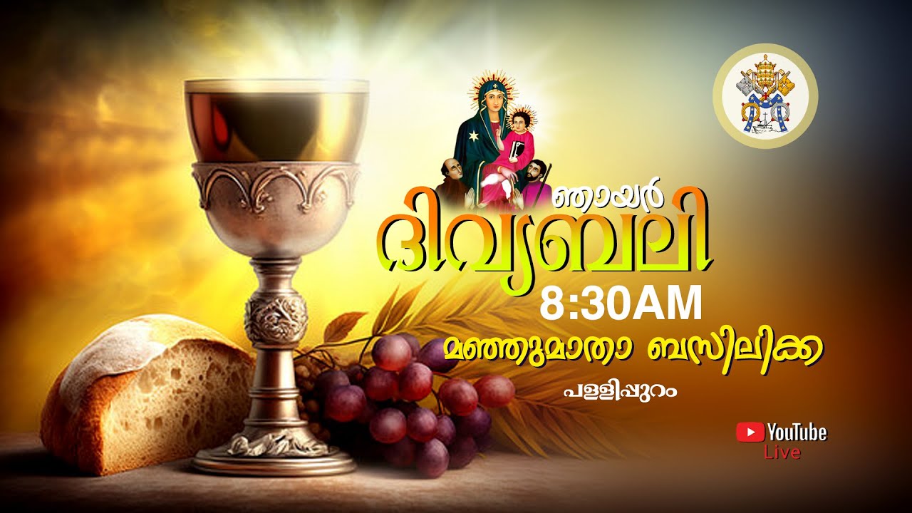 Sunday Holymass 08/02/2026 @8.30AM From Manjumatha Basilica Pallipuram