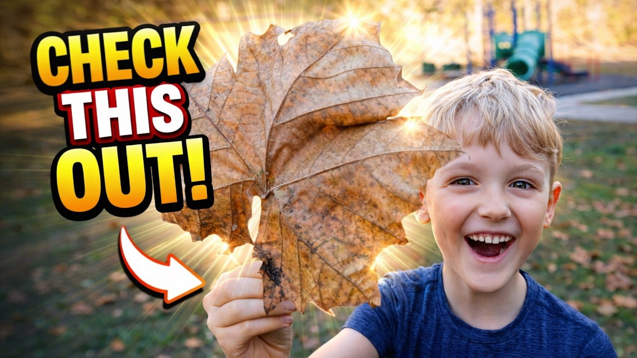 Nature Hike Found a HUGE LEAF!