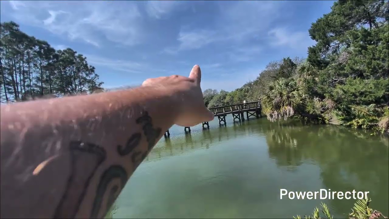 ​The Best Section of the Pinellas Trail? (Wall Springs Park) Palm Harbor Florida 