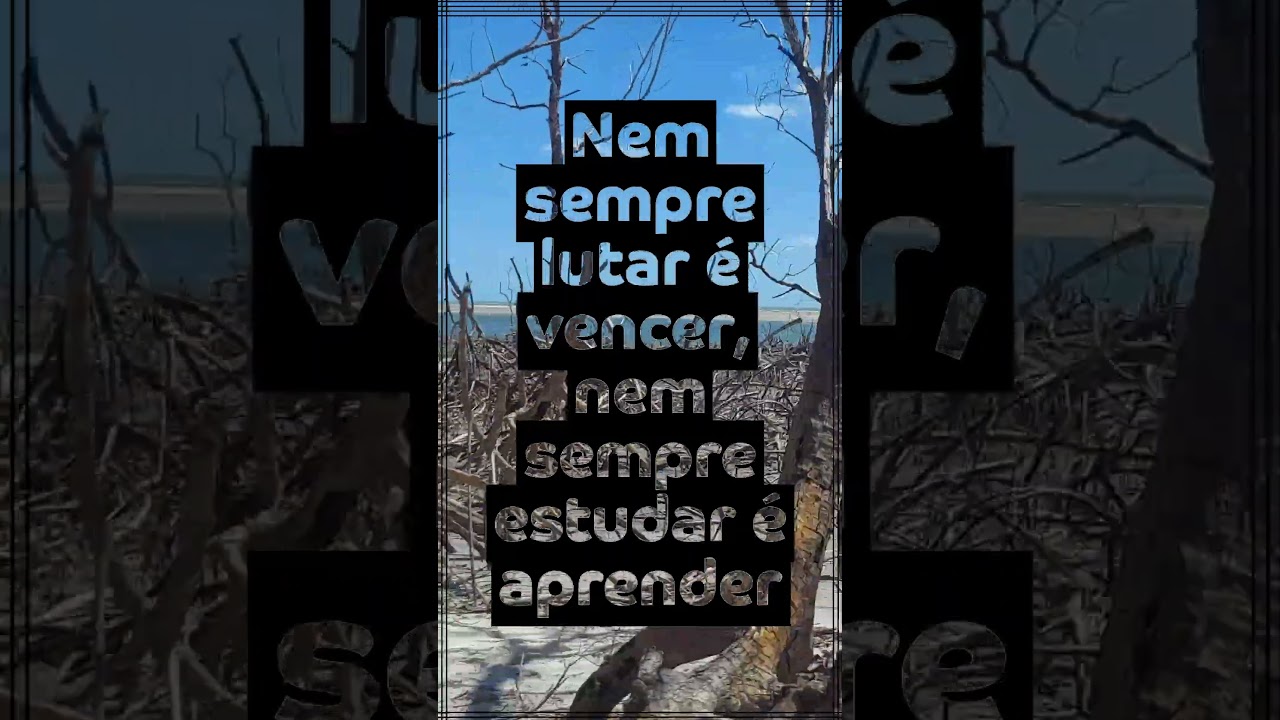 NEM SEMPRE (4) 