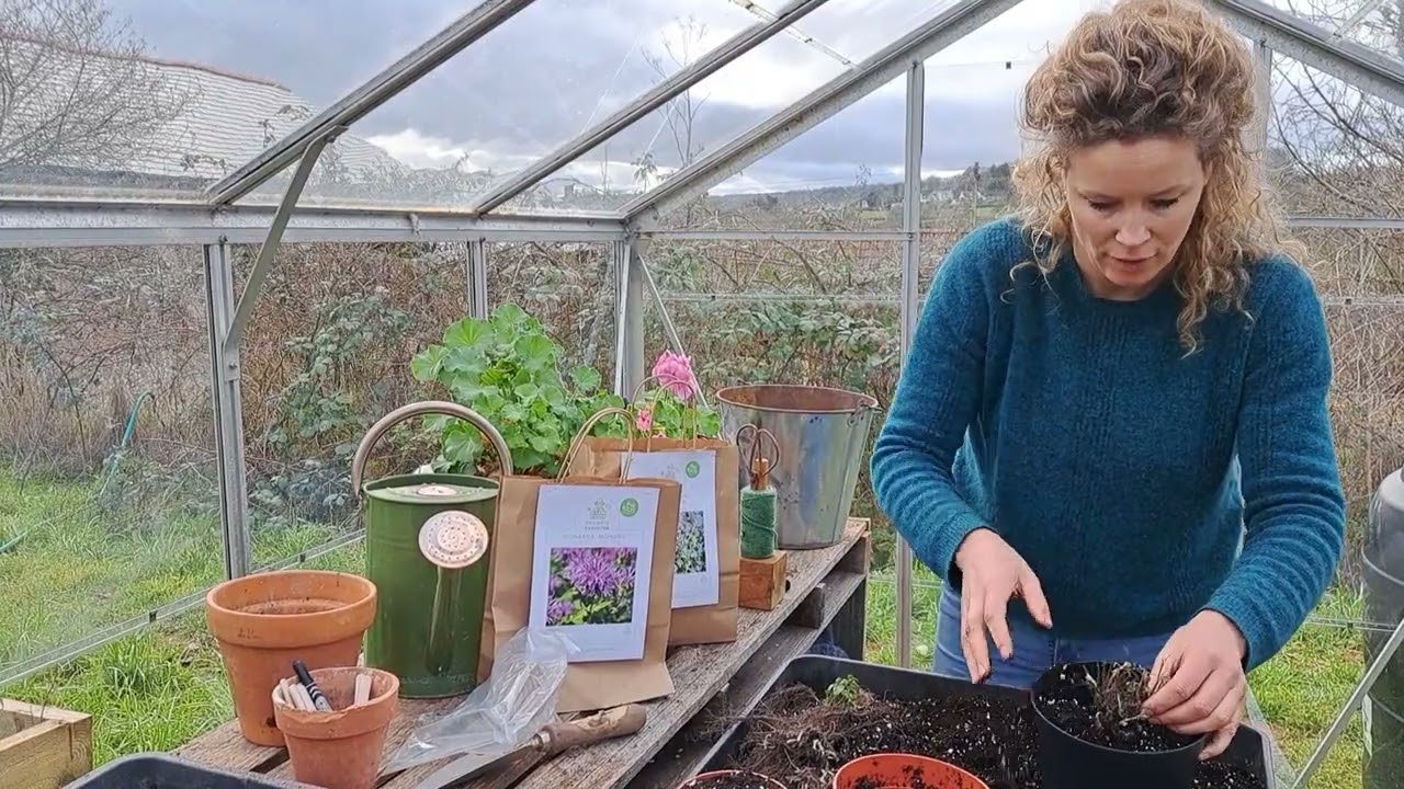 How to Plant Bare Root Perennials - Organic Gardener