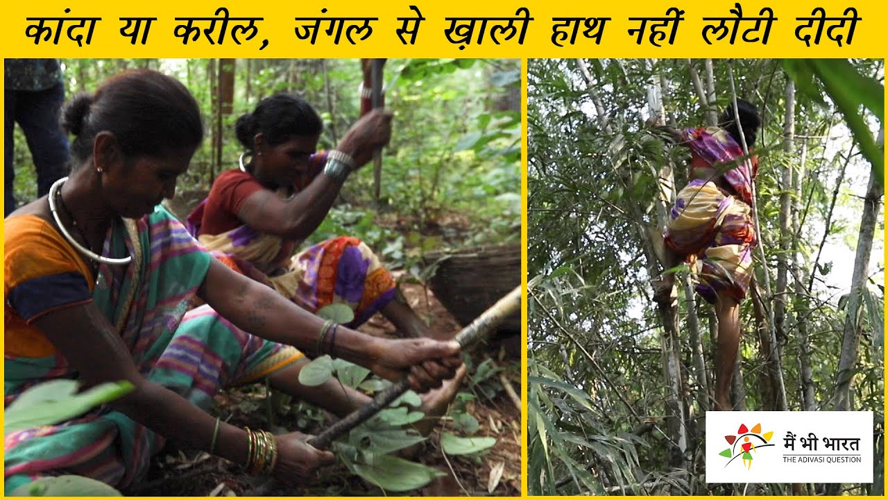 गोंड औरतों की फुर्ती, शक्ति और जंगल का ज्ञान चौंका देता है | How tribal women get food from Jungle
