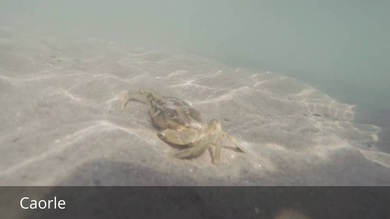 Places to see in ( Caorle - Italy )