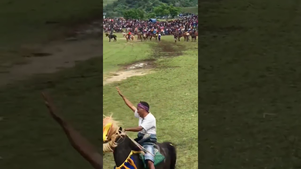 Pahola 2023 #horse #lamboya #pasola #sumbabarat