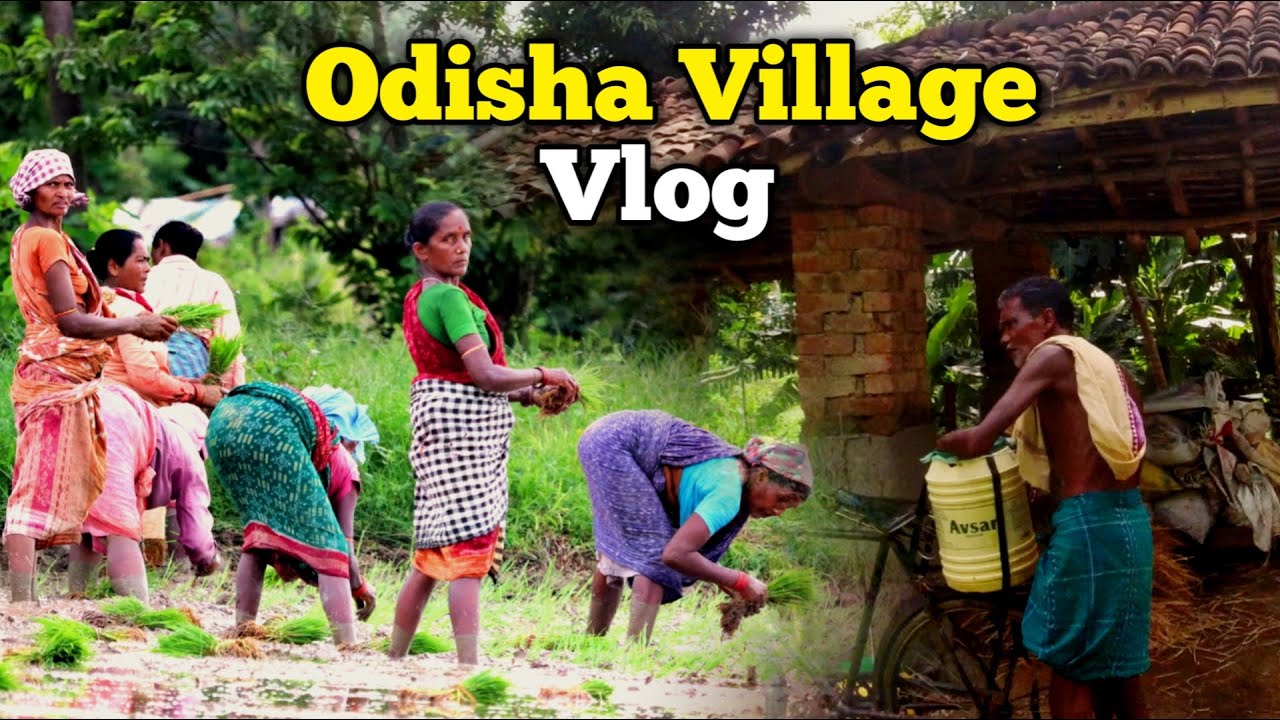 ये जंगल है या गाँव 🤔 यहाँ के लोगों का जीवन कैसा है | Tribal Life in Odisha village Vlog