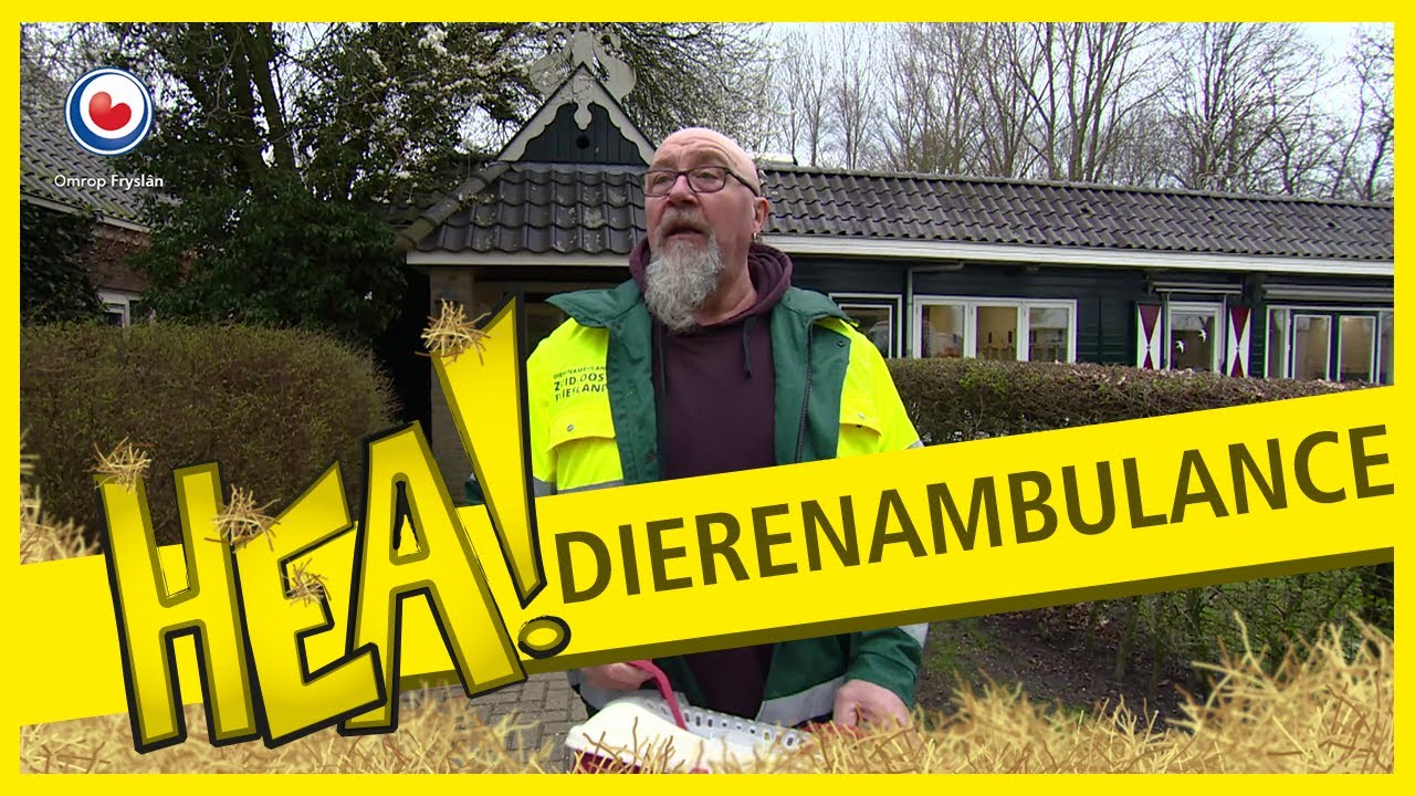 HEA! Dierenambulance