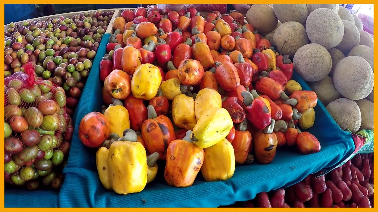 THE SAN ISIDRO FARMERS MARKET IN COSTA RICA: MOUNTAINS OF FRUITS AND VEGETABLES