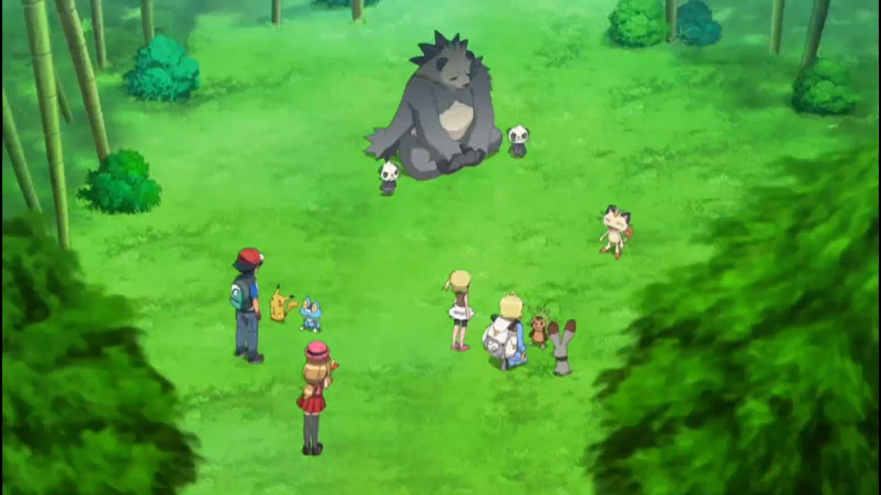Pok&eacute;mon XY Pangoro Pokedex Data