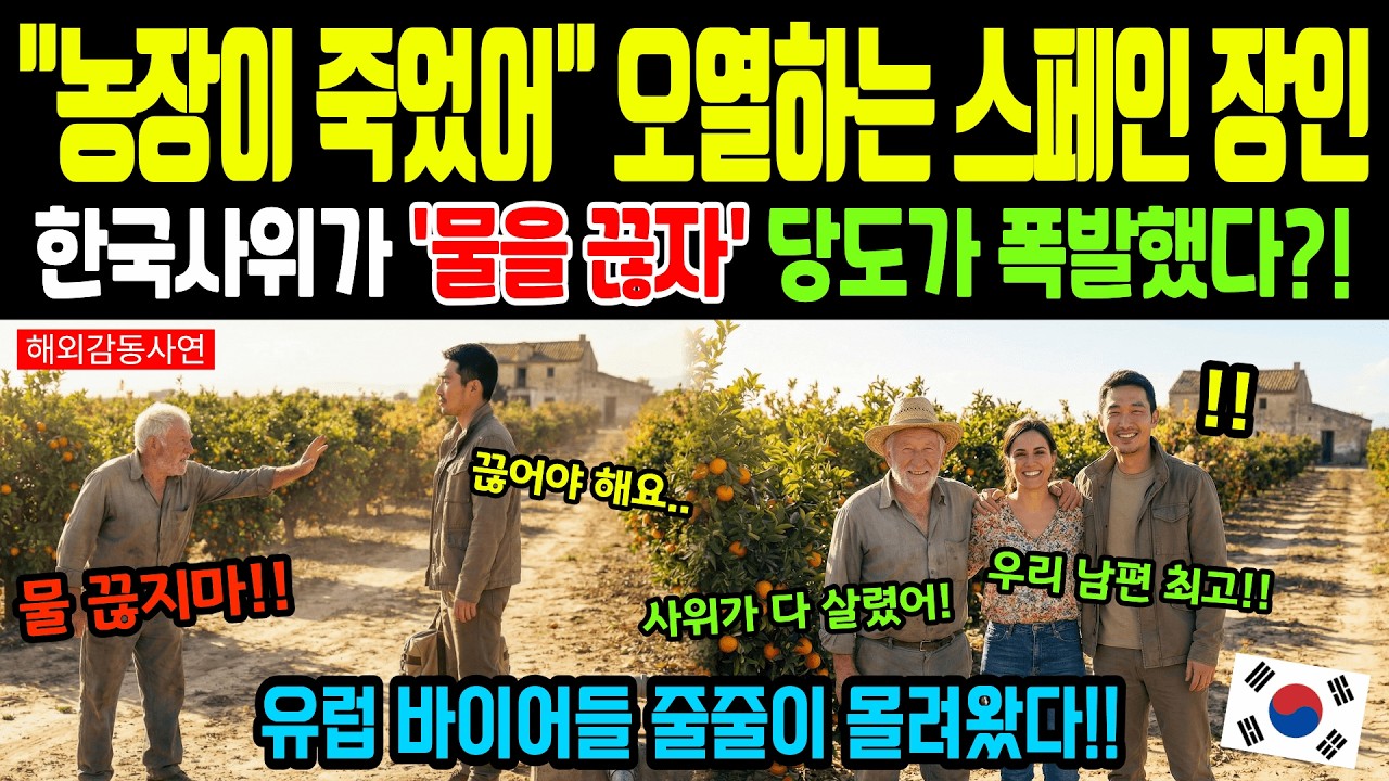 [해외감동사연] 