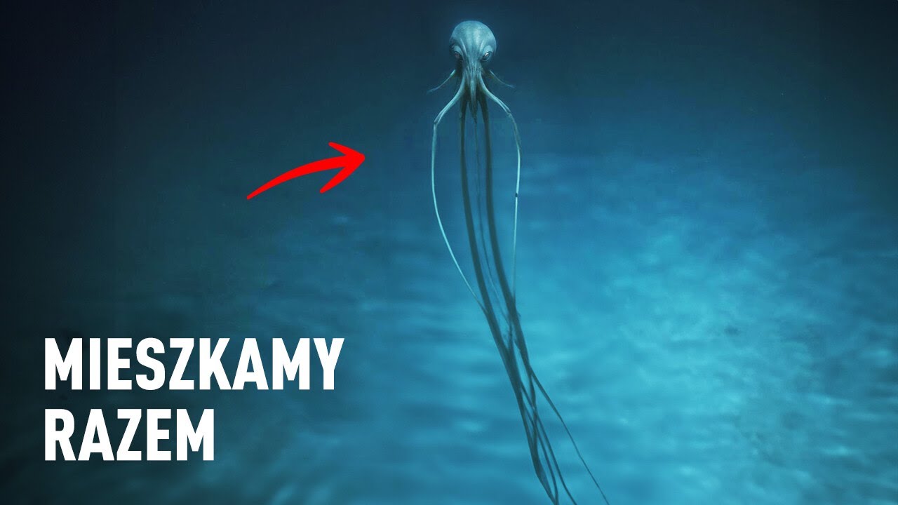 Obcy ukryci pod powierzchnią morza? Naukowcy zabierają głos!