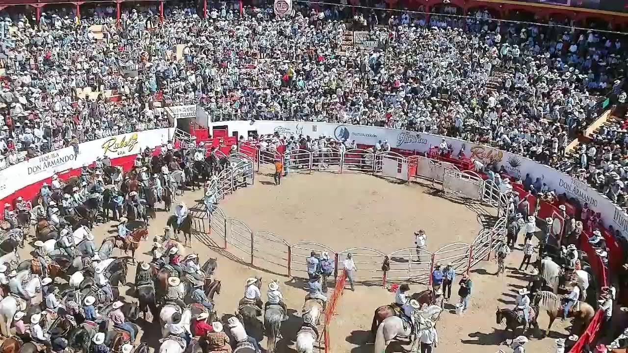 8vo Toro de once