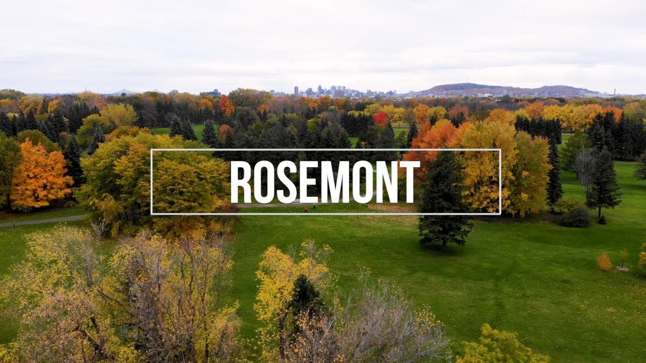 ROSEMONT-LA PETITE-PATRIE, MONTRÉAL