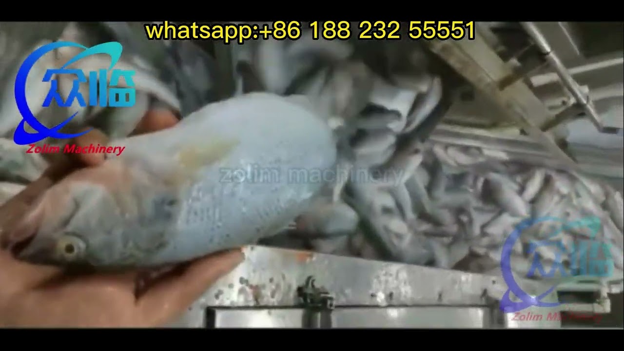 Descaling machine for perch, rotary descaling machine