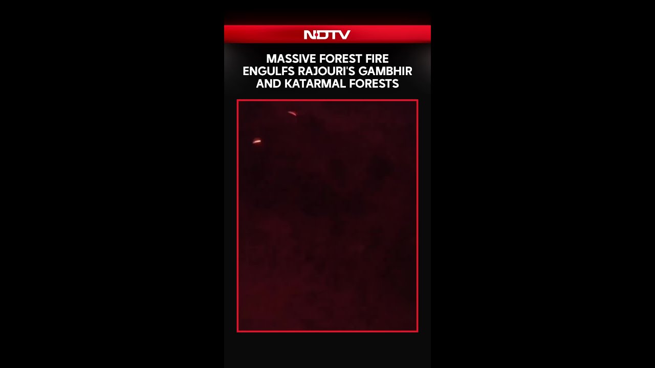 Jammu Kashmir | Massive Forest Fire Engulfs Rajouri's Gambhir And Katarmal Forests
