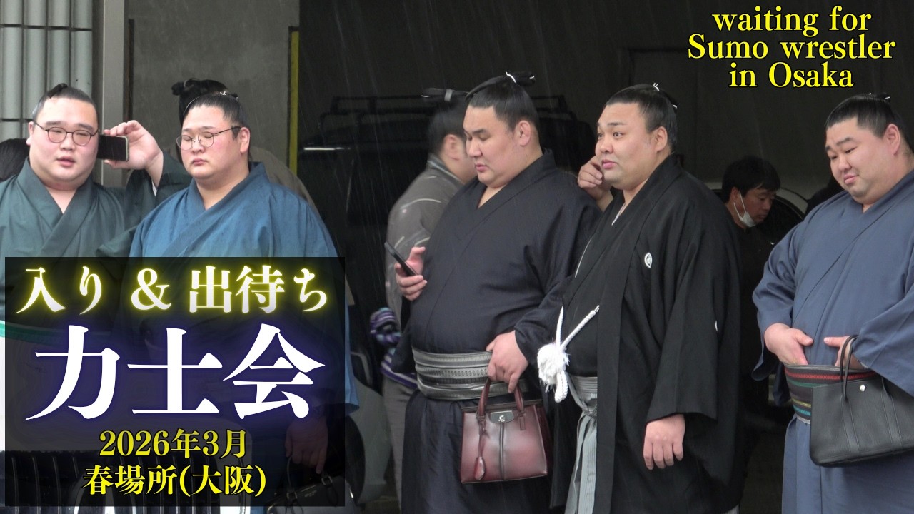雨の中の力士会 入り待ち・出待ち❗ 【大相撲 2026年 春場所 (大阪)】Sumo Rikishi-kai 豊昇龍 大の里 熱海富士 王鵬 若元春 琴櫻
