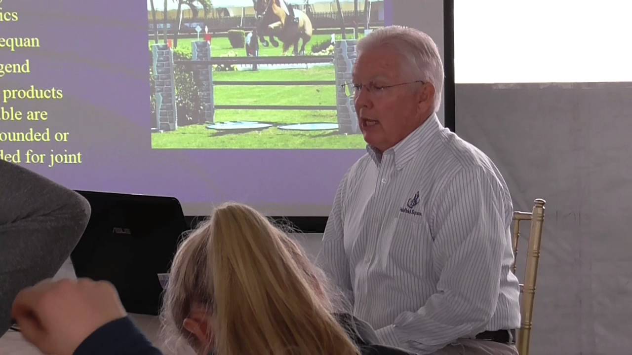 How to Keep the Joints of Your Horse Healthy