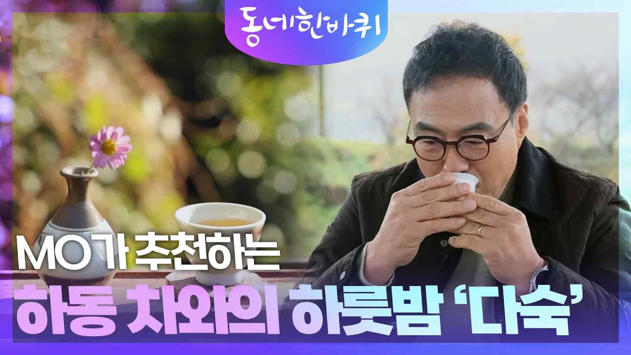 DMO가 추천하는 하동 차와의 하룻밤 ‘다숙’ [동네 한 바퀴] | KBS 231209 방송