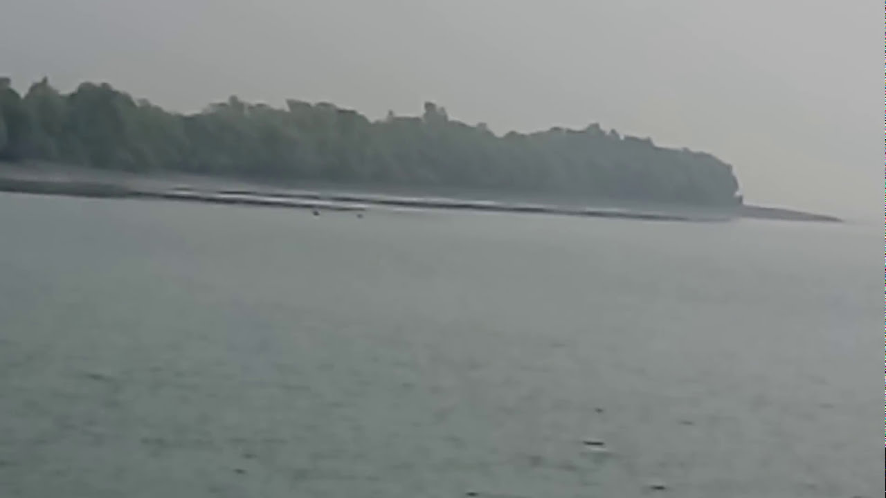 Two Royal Bengal Tiger Crossing the river at Sundarban, দুটি বাঘ সাঁতার কেটে নদী পার হচ্ছে,