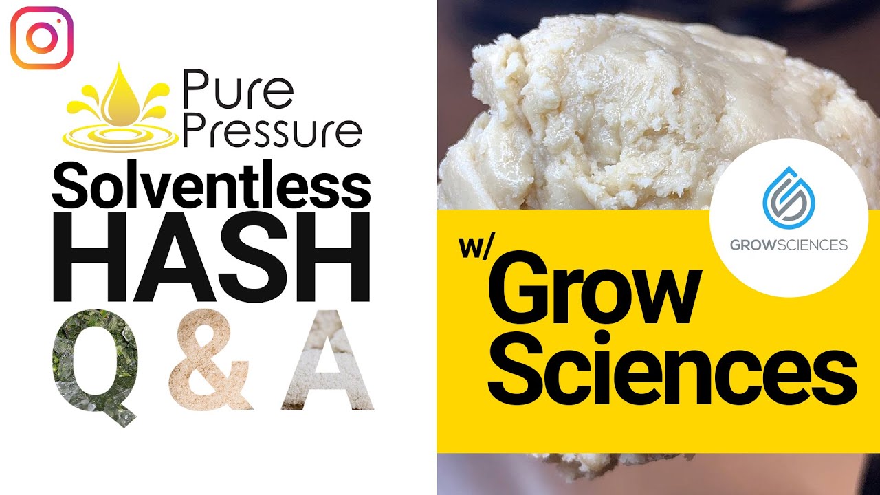 Solventless Hash Q&A: Matt Blum, COO & Co-Founder of Grow Sciences