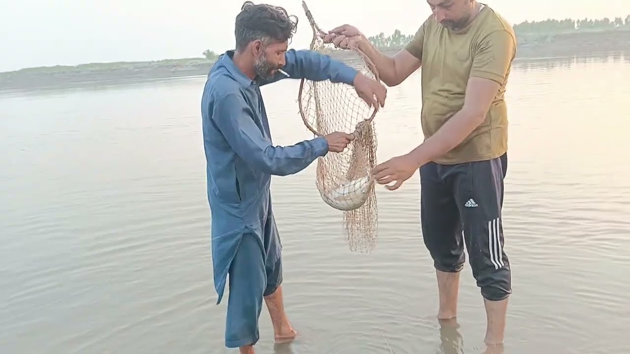 Big rahu fishing with hock live run carp haed balloki darya ravi river