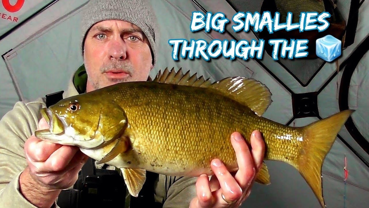 Ice Fishing for HUGE Smallmouth Bass