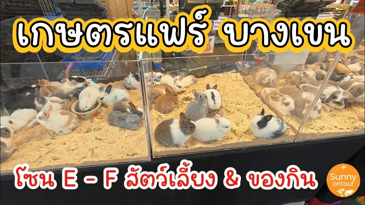 EP.3 เกษตร​แฟร์​ บางเขน โซน E -​ F ร้านสัตว์เลี้ยง​ และร้านค้าของกินสวนสนุก | 30 -​ 7 กุมภาพันธ์​ 69