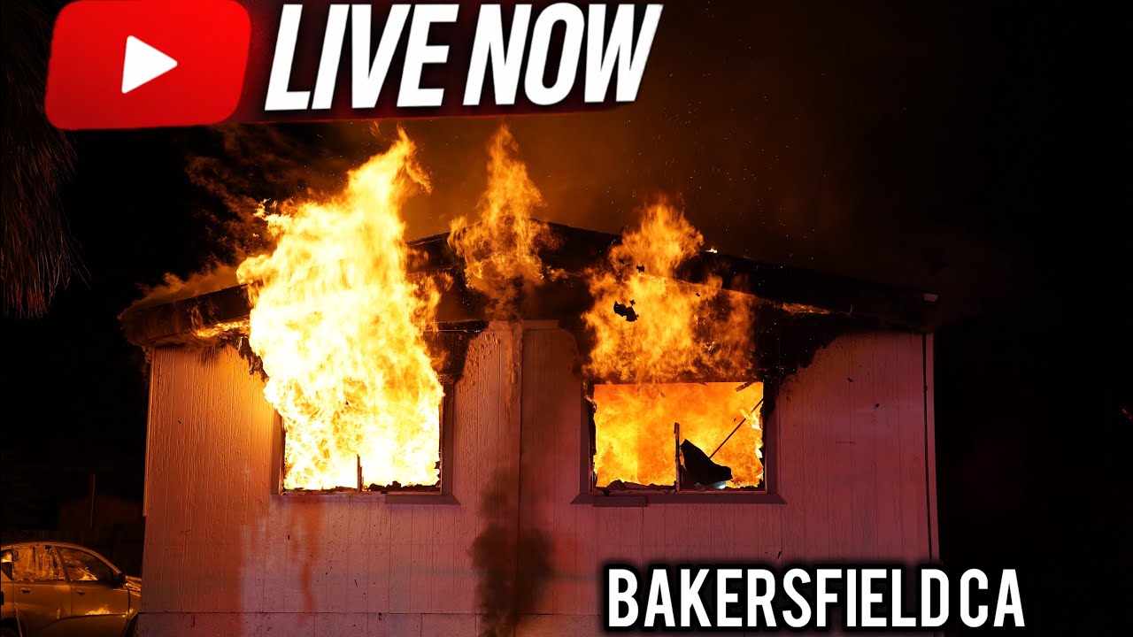 🔴LIVE In The Dark Streets VIEWER+DISCRETION
