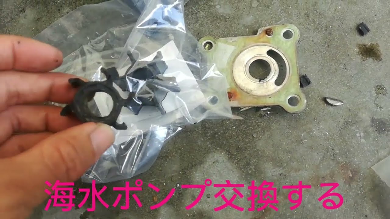 Honda BF9 9　海水ポンプ交換